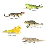 Neliblu Set 5 Reptiles & Lizards Large Size Educational Animal Figures Up To 11