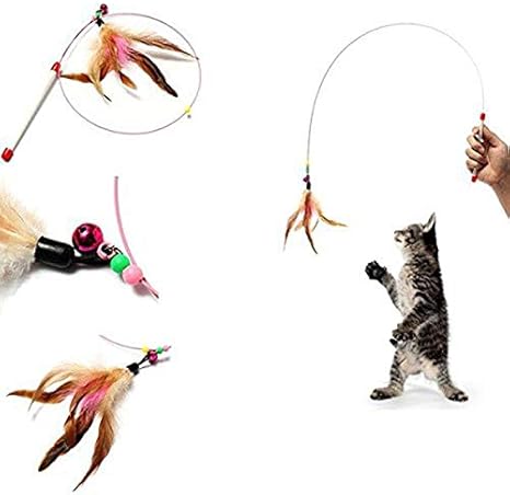 Comptoirxl Jouet Accessoire Pour Chat Canne Avec Plumeau Bengal Maine Coon Siamois Fr Plume Verte Amazon Fr Animalerie