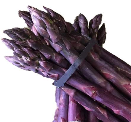 Purple Passion Asparagus Plants Crowns Roots Bare Root 50 Ea - Thumbnail 2