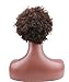 Deewin Hair Short Kinky Curly Human Hair Wig Cheep Female Afro Kinky Curly Short Wigs for Black Women Heat Resistant African Hair Wigs (Brown)