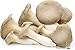 King Oyster Mushroom (Pleurotus eryngii) Mycelium Dried Seeds Spawn Royal Oyster Mushroom Spores (1 oz) by Don Porcini