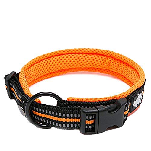 WINHYEPET True Love Dog Collar Reflective Sandwich lining Nylon Webbing Comfortable and Safe Adjustable Buckle convenient used for walking for Samll/Medium/Large neck ring TLC5011(Orange,S)