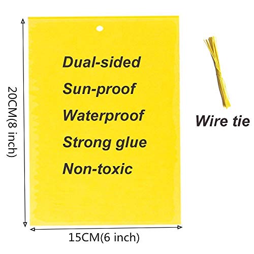 Kensizer 20-Pack Dual-Sided Yellow Sticky Traps for Flying Plant Insect Like Fungus Gnats, Whiteflie - //medicalbooks.filipinodoctors.org