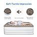 Etekcity Air Mattress Blow Up Elevated Raised Bed Inflatable Airbed with Built-in Electric Pump, Height 22'', Queen Size