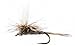 Flies Direct Adams Parachute Assortment 1 Dozen Trout Fishing Flies ,Gold