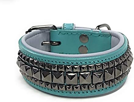 Luxury Leather Padded Dog Collar - Premium Pet - (Small, Medium, Large, XL) - by LUX