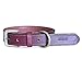 Moonpet Soft Padded Real Genuine Leather Dog Collar-Best Full Grain Heavy Duty Dog Collar-Durable Strong Adjustable for Small Medium Large X-Large Male Female Dogs Walking Run-Dark Brown,16-20''