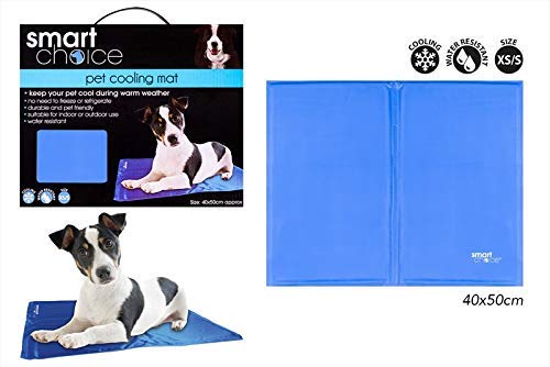 smart choice dog collar