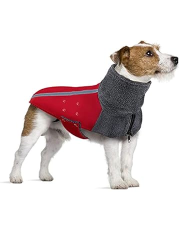 chihuahua outfits amazon