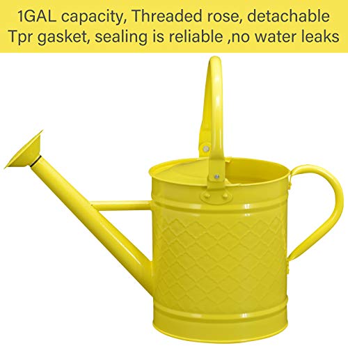 HORTICAN 1 Gal Galvanized Steel Watering Can Decorative Farmhouse Style Watering Can, Removable