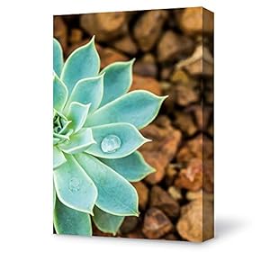 Canvas Wall Art Plant Succulents Plant Office Canvas Painting Wall Poster Decor for Living Room Wooden Framed Home Decorations - 12x18 inches