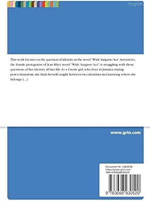 On The Question Of Identity In The Novel Wide Sargasso Sea Of Jean Rhys By Straub Julia Amazon Ae