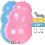 KONG Puppy Kong Toy, Small, Assorted Pink/Blue