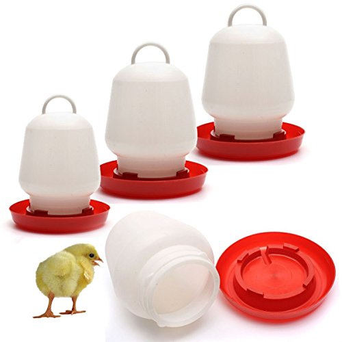 Pet Feeder Drinker Poultry Chick Hen Chicken Quail New Ducks