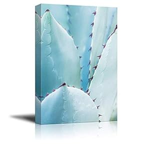 Closeup of a Blue Succulent Plant with Spikes