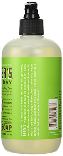 12.50 Oz Liquid Hand Soap in Apple