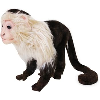 Amazon.com: Ty Mooch the Spider Monkey Beanie Baby Capuchin (Retired