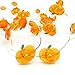 MIYA LIFE Cute Pumpkin String Lights Fall Pumpkin Fairy Lights Battery Operated for Thanksgiving and Halloween Indoor Decorations