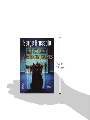 Agence 13 Tome 3 Le Chat Aux Yeux Jaunes 3 Thriller French Edition Brussolo Serge Amazon Com Books