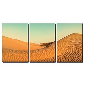 3 Piece Canvas Wall Art - Beatiful Evening Landscape in Desert - Vintage Retro Style - Modern Home Art Stretched and Framed Ready to Hang - 16"x24"x3 Panels