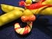 Home Grown Peapod Dragonfly Ornament