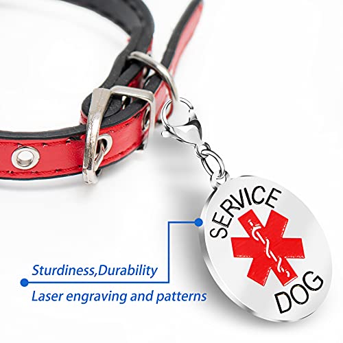 Personalized Service Dog Tag Custom Engraved Pet ID Tags for Service