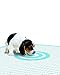 Bullseye No Mess Leak-Proof/Absorbent Target Pet Dog Pee Pads: 2 Pack (60 Count)