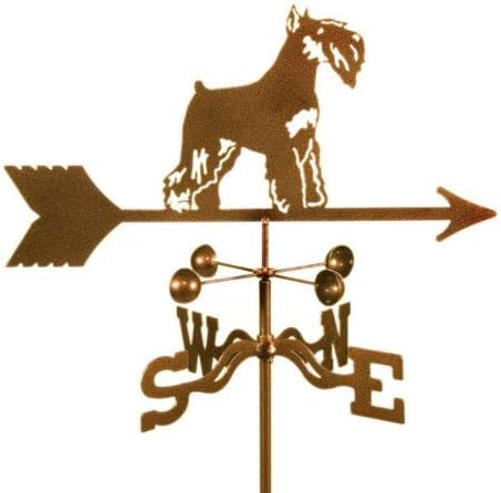 schnauzer accessories