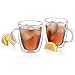 Hudson Essentials Double Wall Insulated Glass Coffee Mugs 12 oz for Tea, Coffee and Cappuccino - Set of 2 Cups