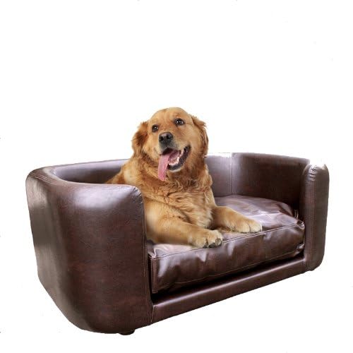 amazon dog sofa bed