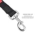 2 Handle Nylon Dog Leash by Luckyandco, 4 Feet Long Padded Handle Nylon Lead for Medium and Large Dogs Daily Walking & Training, Black