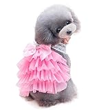 Coper Cute Little Puppy Dog Lace Short Skirt Dress Casual Pet Apparel Cloths (Pink, XS)