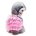 Coper Cute Little Puppy Dog Lace Short Skirt Dress Casual Pet Apparel Cloths (Pink, XS)