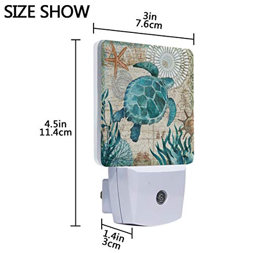 Vdsrup Vintage Ocean Turtle Night Light Set of 2 Sea Starfish World Map