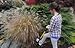 Spear Head Spade - Reinforced Fiberglass Gardening Shovel with Cushioned D Grip - Award Winning Shovel - Model SHFD3