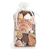 ANDALUCA Seashells, Starfish Driftwood Fragrance