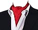 MENDENG Men's Red Floral Paisley Jacquard Woven Silk Cravat Necktie Scarf Ascot