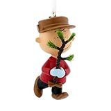 Hallmark Peanuts Charlie Brown Christmas Tree Ornament