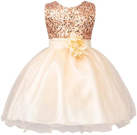 EXIU 0 to 10 Years Girls Birthday Wedding Party Princess Tulle Dress