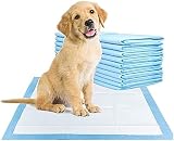 DOG n KITTY 200 Pack Puppy Pads Heavy Duty Absorbent 60x45 cm view 9