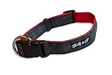 Buddy & Co. Classic Denim & Nylon Dog Collar - ideal for Large Dogs