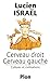 Cerveau droit, cerveau gauche: Cultures et civilisations (French Edition) by