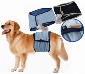 training diapers for dogs