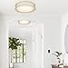 VICNIE 20W LED Ceiling Light, 14 Inch Flush Mount Lighting Fixture,1400 Lumens 3000K Warm White, Dimmable, ETL Listed for Kitchen, Hallway, Bedroom, Stairways (Metal Body and Acrylic Shade)