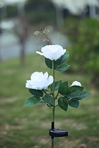 XLUX Outdoor Solar Powered Rose Lights Flower Stake, for Garden Patio Yard Christmas Pathway Decoration, White