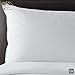 Sobel Westex Sahara Nights Queen Size Bed Pillow | Stomach & Back Sleeper Pillow for Adults | 233TC, 100% Cotton Case, Gel Fiber Fill | Soft, Machine Washable Hotel Quality Pillow for Sleeping | 20X30