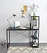 Computer Desk,Modern Style Office Desk 4 Tier Bookshelves Workstation,Home Wood & Metal (Black)