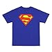 Superman Classic Shield Logo Big Boys T-shirt - Blue (Youth Medium (10-12))