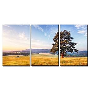 Spring Landscape with Tree and Sun x3 Panels