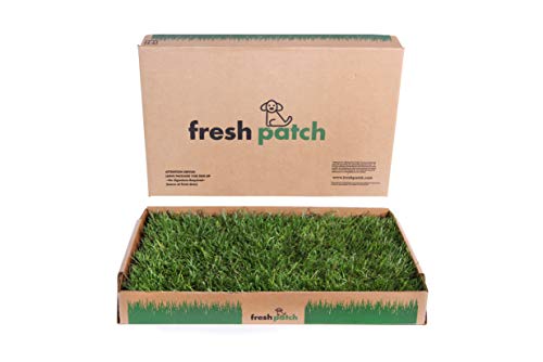 Fresh Patch Standard - Real Grass Pee and Potty Training Pad for Dogs Under 15 Pounds - Indoor and O - //medicalbooks.filipinodoctors.org